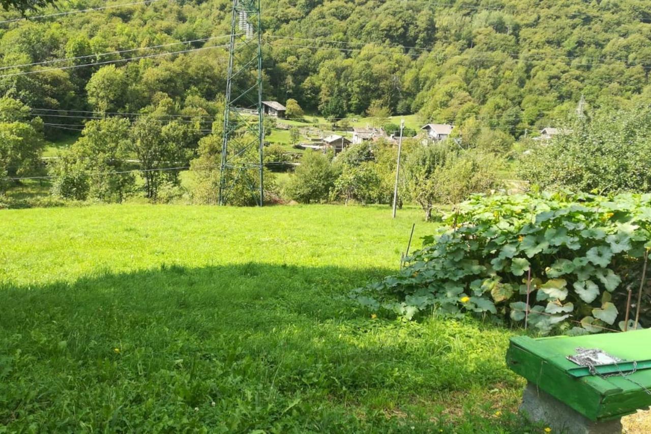 Il Bilocale Della Nonna Villa Locana Buitenkant foto