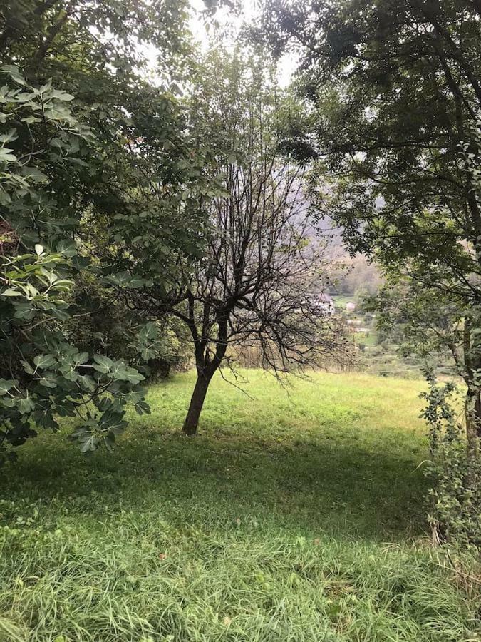 Il Bilocale Della Nonna Villa Locana Buitenkant foto